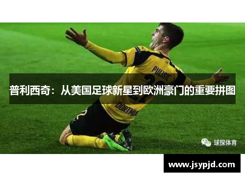 普利西奇:从美国足球新星到欧洲豪门的重要拼图 普利西奇:从美国足球新星到欧洲豪门的重要拼图