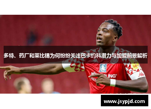多特、药厂和莱比锡为何纷纷关注巴卡约科潜力与加盟前景解析 多特、药厂和莱比锡为何纷纷关注巴卡约科潜力与加盟前景解析