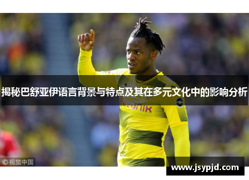 揭秘巴舒亚伊语言背景与特点及其在多元文化中的影响分析