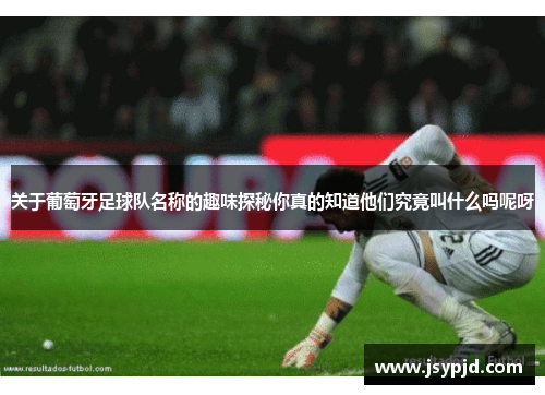 关于葡萄牙足球队名称的趣味探秘你真的知道他们究竟叫什么吗呢呀